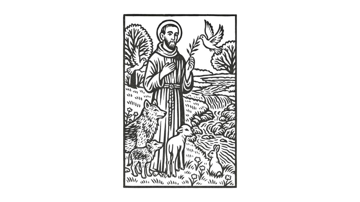papa francesco assisi